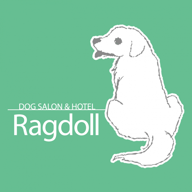 ドックサロン＆ホテル　Ragdoll (ラグドール）富沢南店